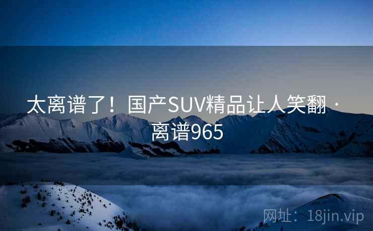 太离谱了！国产SUV精品让人笑翻 · 离谱965